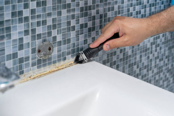 Best Residential Mold Remediation in Payson, IL